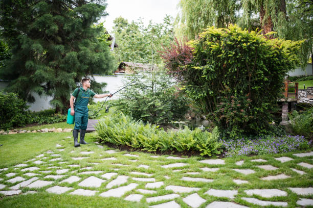 Pest Prevention Services in Ormond Beach, FL